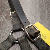 Nylon Breakaway Halter, spring snap *fair, broken crown, v.dirty, rusty, v.tight snap
