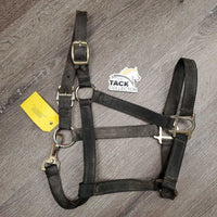 Nylon Breakaway Halter, spring snap *fair, broken crown, v.dirty, rusty, v.tight snap
