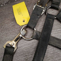 Nylon Breakaway Halter, spring snap *fair, broken crown, v.dirty, rusty, v.tight snap