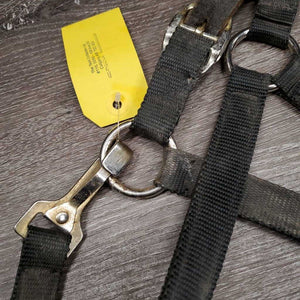 Nylon Breakaway Halter, spring snap *fair, broken crown, v.dirty, rusty, v.tight snap