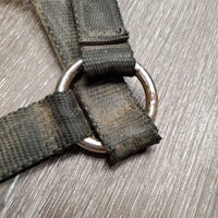 Nylon Breakaway Halter, spring snap *fair, broken crown, v.dirty, rusty, v.tight snap