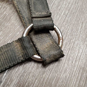 Nylon Breakaway Halter, spring snap *fair, broken crown, v.dirty, rusty, v.tight snap