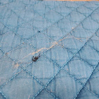 Quilt Jumper Saddle Pad, piping, tabs *gc, hair, dirt, stains, faded
