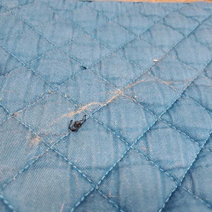 Quilt Jumper Saddle Pad, piping, tabs *gc, hair, dirt, stains, faded