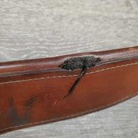 Leather Girth, 1x Els *fair, dry, inside cracks, torn edge, UNSTITCHED, older, clean, stiff, TORN els

