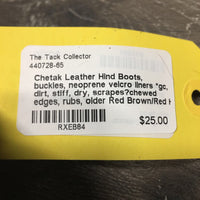 Leather Hind Boots, buckles, neoprene velcro liners *gc, dirt, stiff, dry, scrapes?chewed edges, rubs, older

