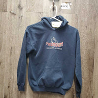 JUNIORS Sweatshirt Hoodie, Paramount *gc, faded, mnr hair, puckers