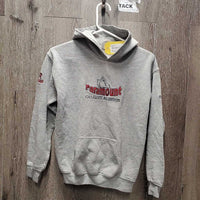 JUNIORS Sweatshirt Hoodie, "Paramount" *gc, mnr stains, dingy cuffs
