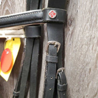 Padded Bridle *gc/fair, dirty, rubs, NO Flash, cut end, xhole, scraped edges, x.tight keepers
