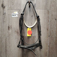 Padded Bridle *gc/fair, dirty, rubs, NO Flash, cut end, xhole, scraped edges, x.tight keepers
