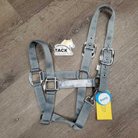 Nylon Halter, Ribbon, snap *like new
