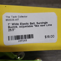 1" Wide Elastic Belt, Surcingle Buckle, adjustable *like new
