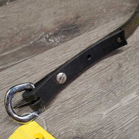 Thick Leather Strap, buckle *xc, clean, xholes, dust, mnr film
