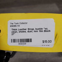 Thick Leather Strap, buckle *xc, clean, xholes, dust, mnr film