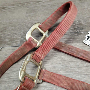 Narrow Nylon Halter, adj, leather catch strap *gc/fair, v.dirty, v.stiff, older, stains, rubs, torn edge, rust