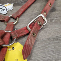 Narrow Nylon Halter, adj, leather catch strap *gc/fair, v.dirty, v.stiff, older, stains, rubs, torn edge, rust