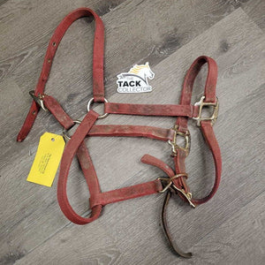 Narrow Nylon Halter, adj, leather catch strap *gc/fair, v.dirty, v.stiff, older, stains, rubs, torn edge, rust