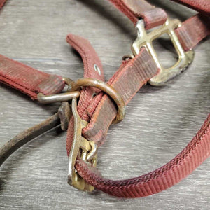 Narrow Nylon Halter, adj, leather catch strap *gc/fair, v.dirty, v.stiff, older, stains, rubs, torn edge, rust
