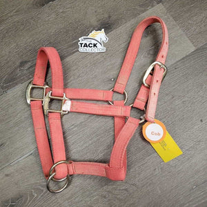 Nylon Halter, slip nose *gc/fair, dirt, residue, v.faded, stiff, rough, mnr rust, shedding/peeling