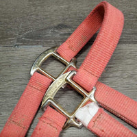 Nylon Halter, slip nose *gc/fair, dirt, residue, v.faded, stiff, rough, mnr rust, shedding/peeling
