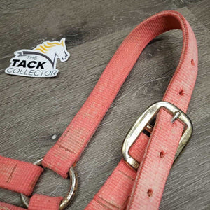 Nylon Halter, slip nose *gc/fair, dirt, residue, v.faded, stiff, rough, mnr rust, shedding/peeling