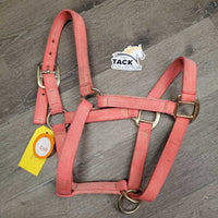 Nylon Halter, slip nose *gc/fair, dirt, residue, v.faded, stiff, rough, mnr rust, shedding/peeling
