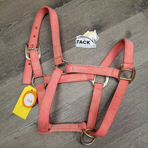 Nylon Halter, slip nose *gc/fair, dirt, residue, v.faded, stiff, rough, mnr rust, shedding/peeling