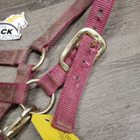 Thick Nylon Halter, adj, snap *fair, v.dirty, faded, stains, rubs, hole frays
