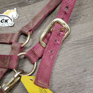 Thick Nylon Halter, adj, snap *fair, v.dirty, faded, stains, rubs, hole frays