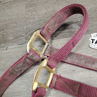 Thick Nylon Halter, adj, snap *fair, v.dirty, faded, stains, rubs, hole frays
