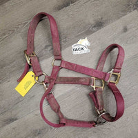 Thick Nylon Halter, adj, snap *fair, v.dirty, faded, stains, rubs, hole frays

