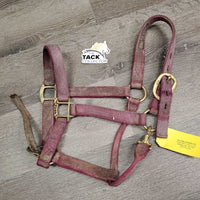 Thick Nylon Halter, snap, leather catch strap *gc/fair, v.dirty, v.stained, v.faded, rubs, frayed edges, v.stiff strap
