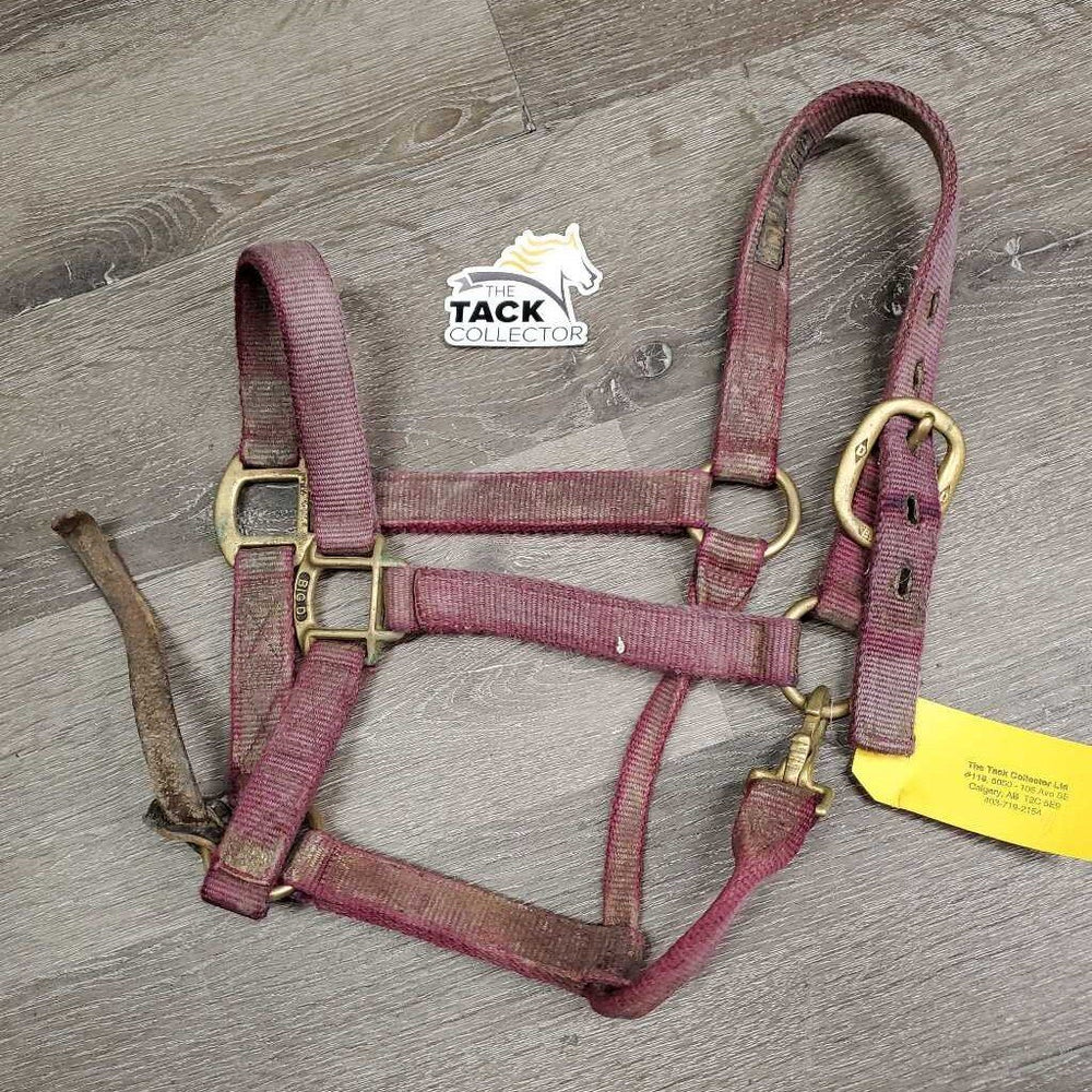 Thick Nylon Halter, snap, leather catch strap *gc/fair, v.dirty, v.stained, v.faded, rubs, frayed edges, v.stiff strap