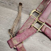 Thick Nylon Halter, snap, leather catch strap *gc/fair, v.dirty, v.stained, v.faded, rubs, frayed edges, v.stiff strap