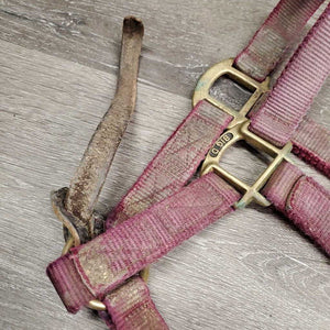 Thick Nylon Halter, snap, leather catch strap *gc/fair, v.dirty, v.stained, v.faded, rubs, frayed edges, v.stiff strap