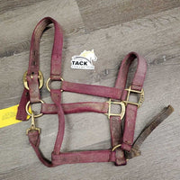 Thick Nylon Halter, snap, leather catch strap *gc/fair, v.dirty, v.stained, v.faded, rubs, frayed edges, v.stiff strap