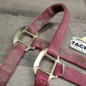 Thick Nylon Halter, snap, adj *gc/fair, faded, dirty, frayed holes, rubs, stains, snags