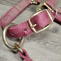 Thick Nylon Halter, snap, adj *gc/fair, faded, dirty, frayed holes, rubs, stains, snags
