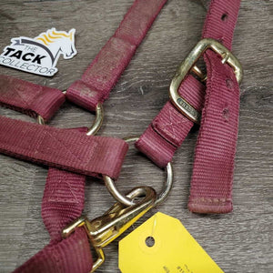Thick Nylon Halter, snap, adj *gc/fair, faded, dirty, frayed holes, rubs, stains, snags