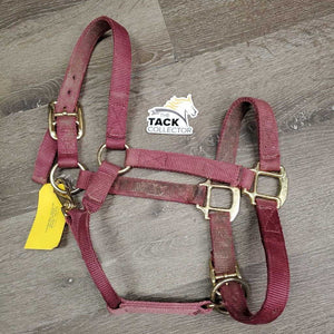 Thick Nylon Halter, snap, adj *gc/fair, faded, dirty, frayed holes, rubs, stains, snags