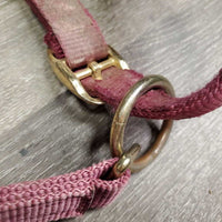 Thick Nylon Halter, snap, adj *gc/fair, faded, dirty, frayed holes, rubs, stains, snags
