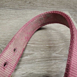 Thick Nylon Halter, snap, adj *gc/fair, faded, dirty, frayed holes, rubs, stains, snags