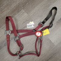 Nylon Breakaway Halter, adj, snap, leather Crown *gc, dirt?stains, rubs, crown: cracked & v.stiff
