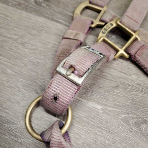 Thick Nylon Halter, adj, snap *fair, v.dirty, v.stains, v.faded, frayed holes, snags, rubs