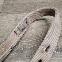 Thick Nylon Halter, adj, snap *fair, v.dirty, v.stains, v.faded, frayed holes, snags, rubs