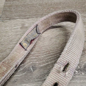 Thick Nylon Halter, adj, snap *fair, v.dirty, v.stains, v.faded, frayed holes, snags, rubs