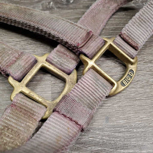 Thick Nylon Halter, adj, snap *fair, v.dirty, v.stains, v.faded, frayed holes, snags, rubs
