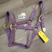 Thick Hvy Nylon Halter *fair, v.frayed, snags, stains, faded, rubs, threads
