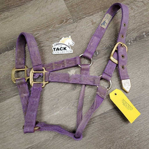 Thick Hvy Nylon Halter *fair, v.frayed, snags, stains, faded, rubs, threads