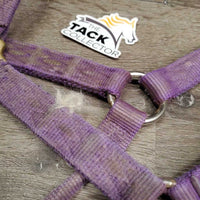 Thick Hvy Nylon Halter *fair, v.frayed, snags, stains, faded, rubs, threads